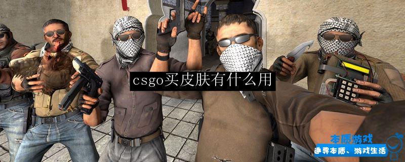 csgo買皮膚有什么用