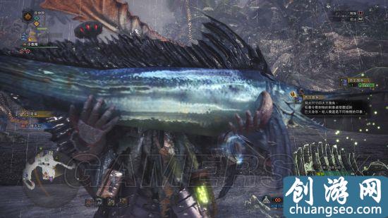 《怪物獵人：世界》手游最新各魚類及釣點位置分享