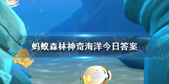 哪種海洋動物被稱為“吸血鬼烏賊” 螞蟻森林神奇海洋10月8日答案